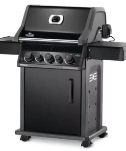 3647 napoleon rogue 425 mit heck und seitenbrenner inkl drehspiess - Kaminarena Kaminofen Fachhandel napoleon rogue 425 mit heck und seitenbrenner inkl drehspiesswebp