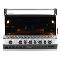 napoleon prestige pro 665 geoeffnetwebp