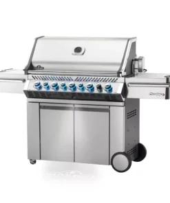 napoleon prestige pro 665 edelstahl seitlichwebp