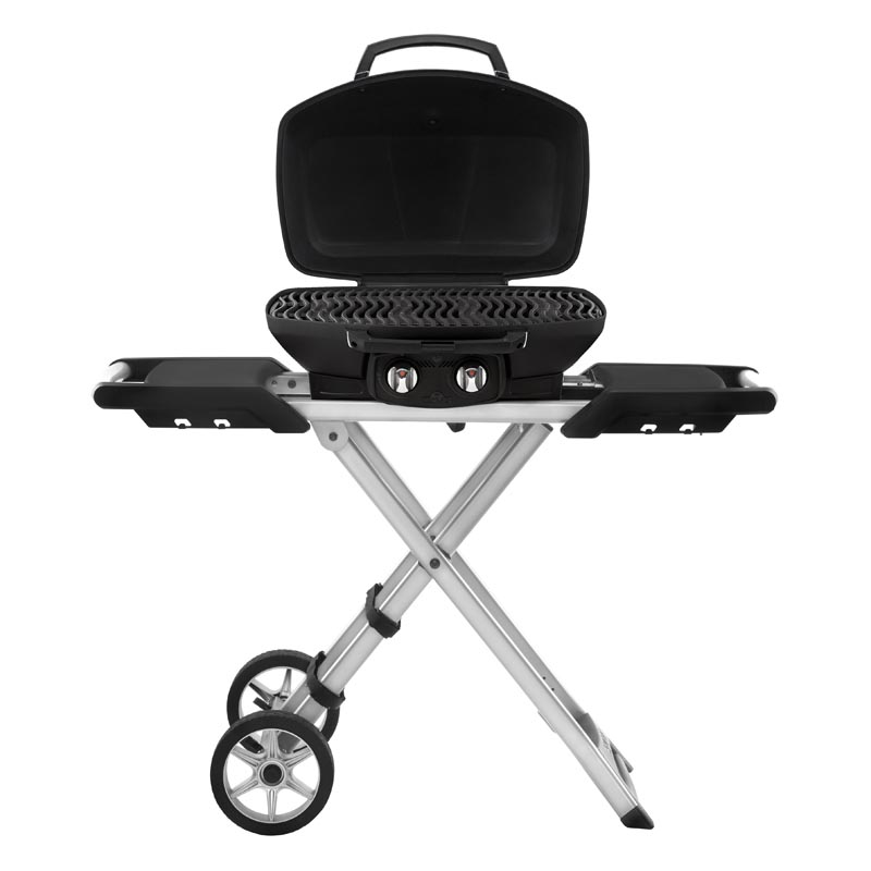 3769 napoleon travelq pro285x geoeffnet - Kaminarena Kaminofen Fachhandel napoleon travelq pro285x geoeffnetjpg