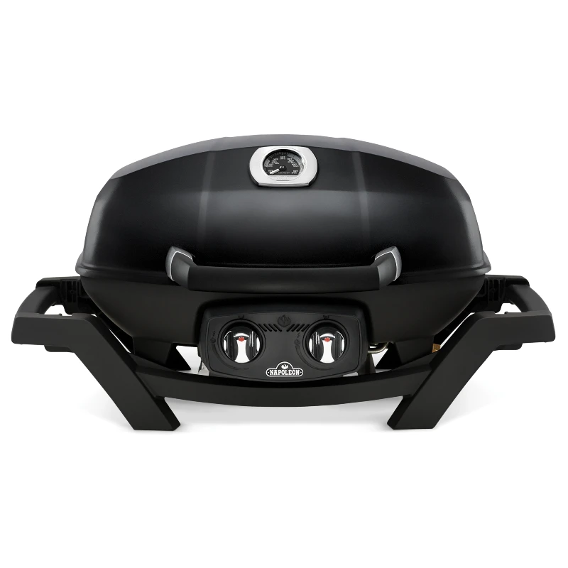 3773 napoleon travelq pro285 - Kaminarena Kaminofen Fachhandel napoleon travelq pro285webp