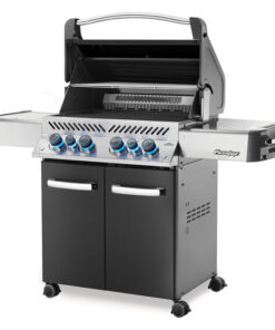 napoleon prestige 500 charcoal grau seitlich