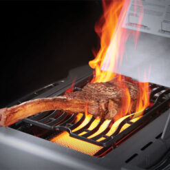 napoleon prestige 500 charcoal grau sizzle zone
