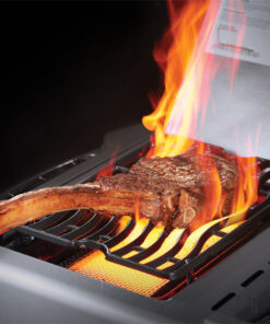 napoleon prestige 500 charcoal grau sizzle zone